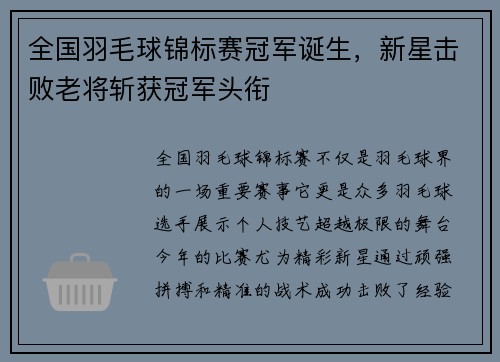 全国羽毛球锦标赛冠军诞生，新星击败老将斩获冠军头衔
